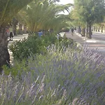 Otel Petit 3*