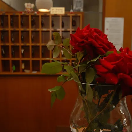 Hotell Petit San Benedetto del Tronto